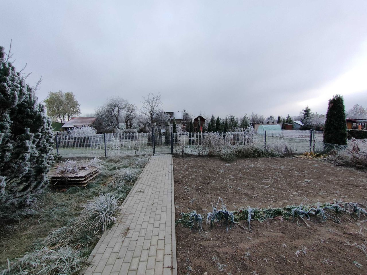 Działka rod Sępólno Krajeńskie. Zdjęcie 6