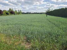 Działka rolno-budowlana Lulkowo, ul. Brylantowa. Zdjęcie 1