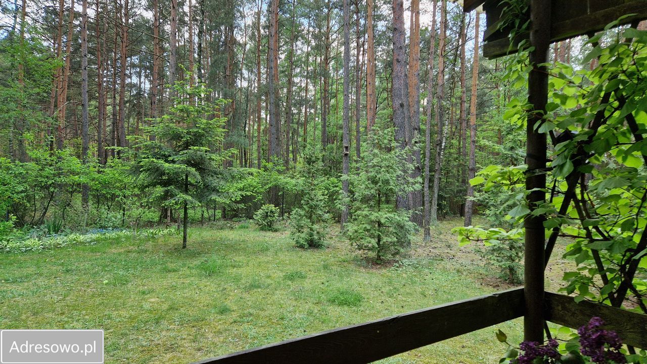 Działka leśna Rokitnica, ul. Gucińska. Zdjęcie 12
