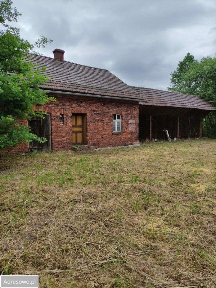 Działka rolna Osiecko. Zdjęcie 8