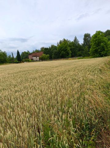 Działka inwestycyjna Mysłowice Brzezinka, ul. Piaskowa. Zdjęcie 1