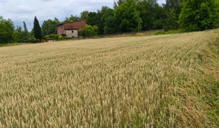 Działka inwestycyjna Mysłowice Brzezinka, ul. Piaskowa