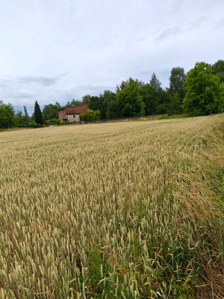 Działka inwestycyjna Mysłowice Brzezinka, ul. Piaskowa. Zdjęcie 1