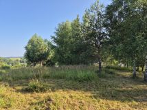 Działka rolno-budowlana Olchowa. Zdjęcie 2