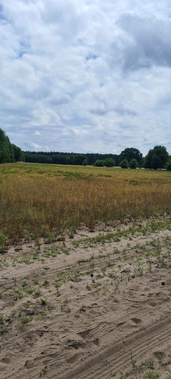 Działka rolna Augustów. Zdjęcie 3