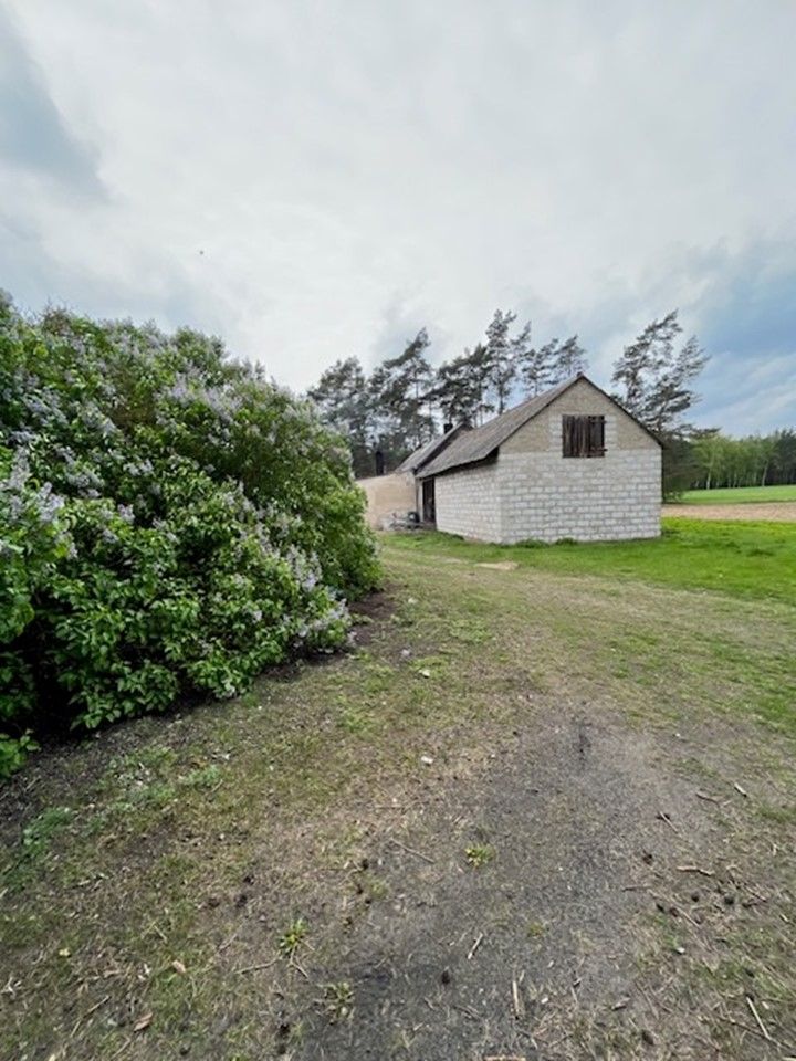 Działka siedliskowa Wierzbinek. Zdjęcie 5