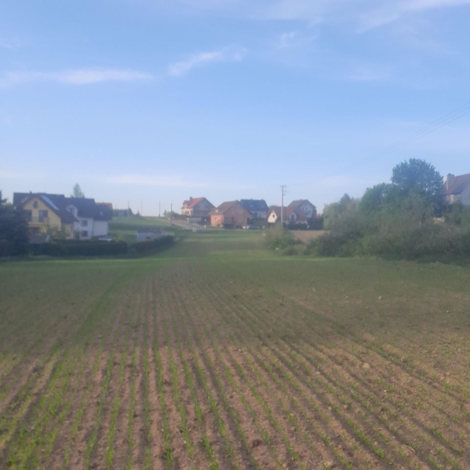 Działka budowlana Szymbark, ul. Rzemieślnicza. Zdjęcie 2