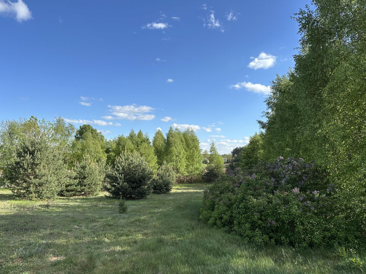 Działka rolno-budowlana Lipiny