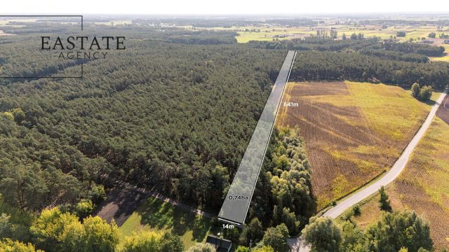 Działka leśna Maurzyce. Zdjęcie 1