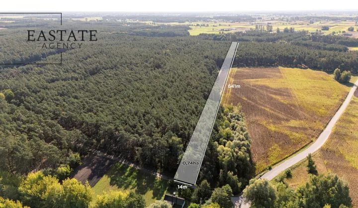 Działka leśna Maurzyce