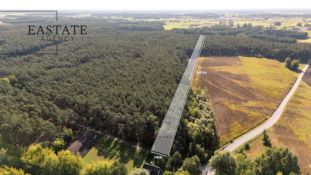 Działka leśna Maurzyce. Zdjęcie 1