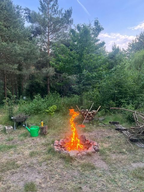 Działka leśna Kępiaste. Zdjęcie 7