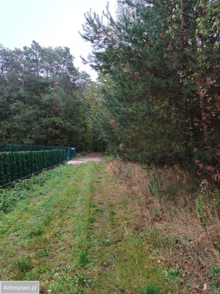 Działka budowlana Borzechów-Kolonia. Zdjęcie 6