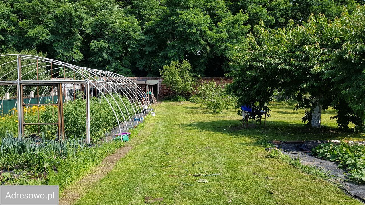 Działka budowlana Trzebiechów, ul. Ogrodowa. Zdjęcie 5