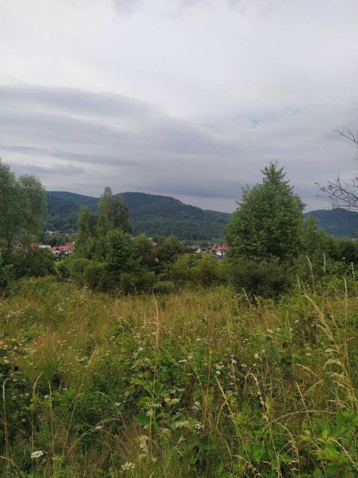 Działka rolno-budowlana Zawoja. Zdjęcie 4