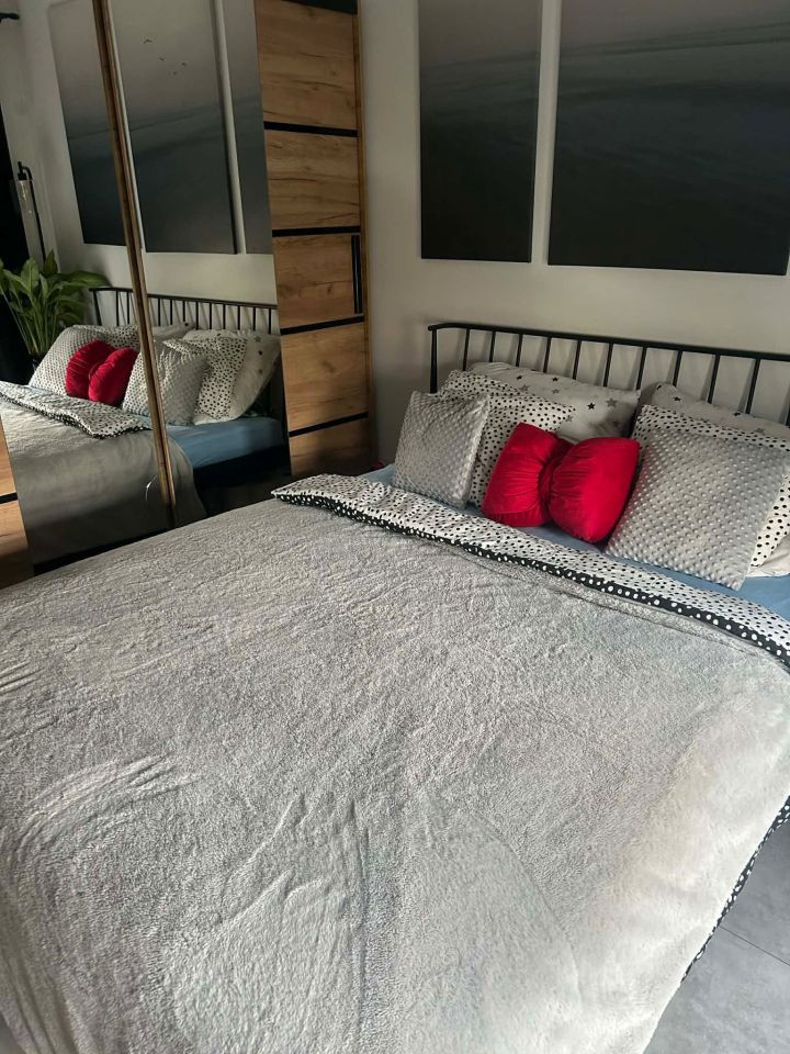 Mieszkanie 5-pokojowe Mikołów Mokre. Zdjęcie 6