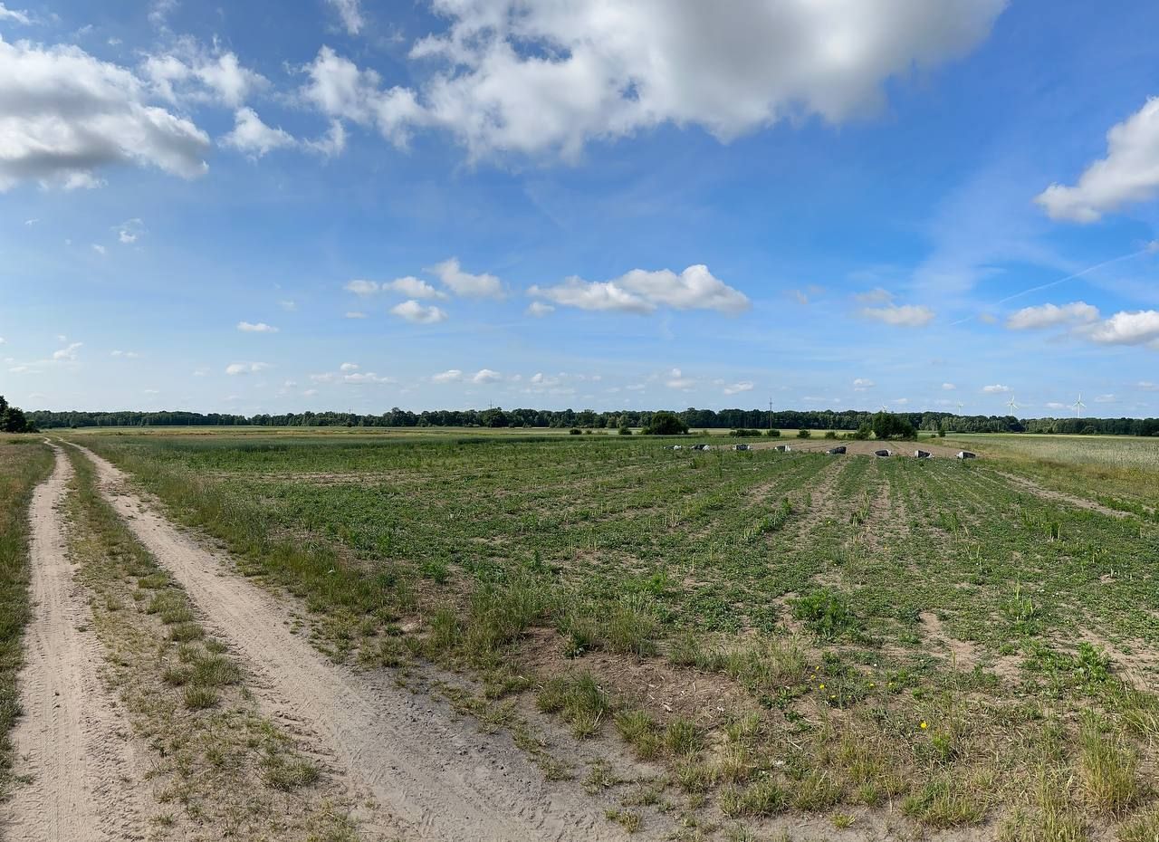 Działka budowlana Strzegów. Zdjęcie 8