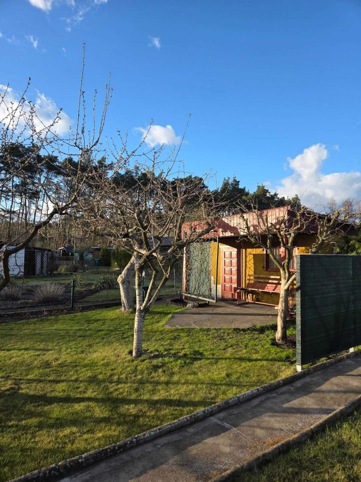 Działka rod Oborniki. Zdjęcie 6