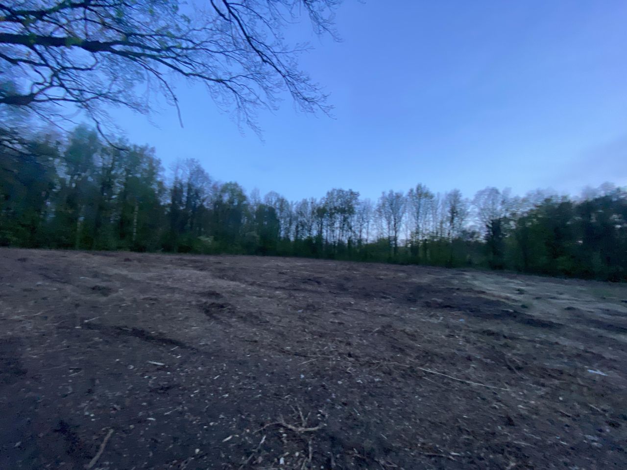 Działka budowlana Turawa, ul. Ogrodowa. Zdjęcie 5