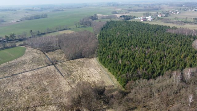 Działka budowlana Dziśnity. Zdjęcie 1