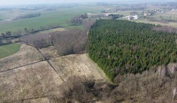 Działka budowlana Dziśnity, Brak