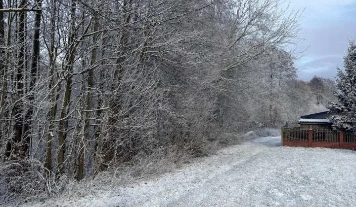 Działka inna Wilków Polski