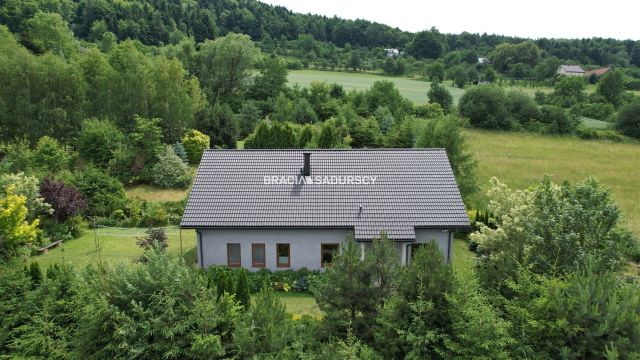 dom wolnostojący, 6 pokoi Białawoda. Zdjęcie 6