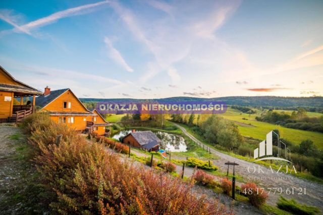 Lokal Równia. Zdjęcie 1