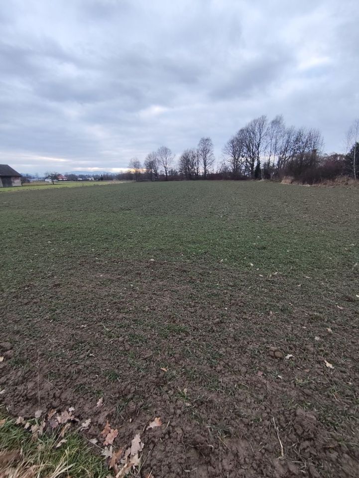 Działka budowlana Hecznarowice, ul. Stawowa. Zdjęcie 7