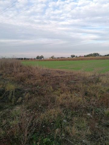 Działka budowlana Kcynia. Zdjęcie 1