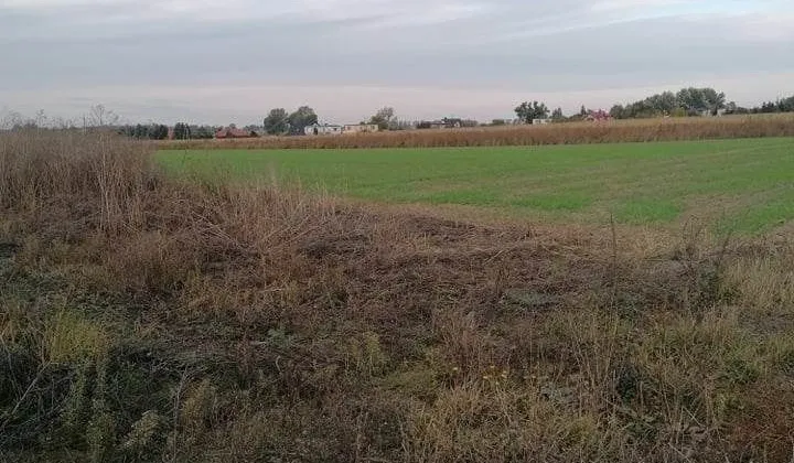 Działka budowlana Kcynia