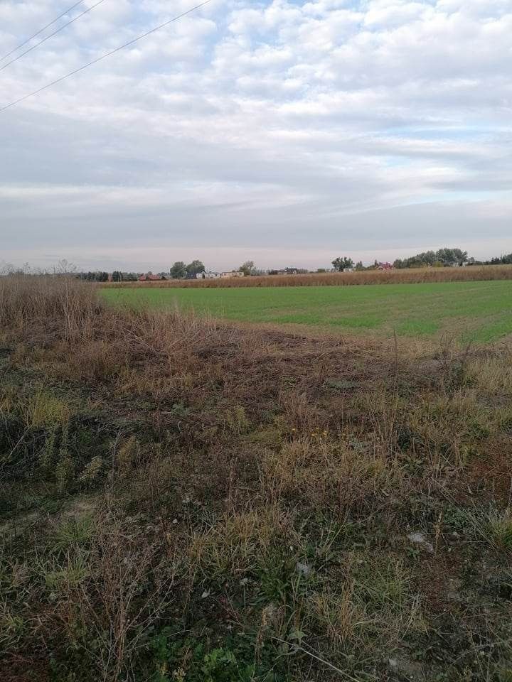 Działka budowlana Kcynia. Zdjęcie 1