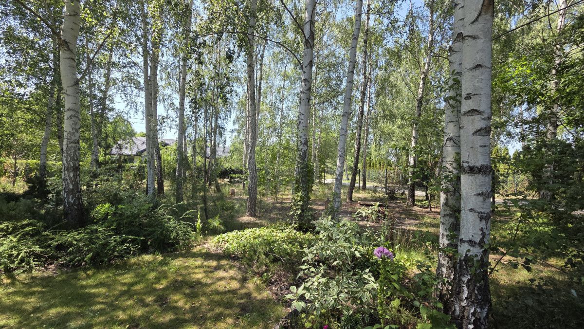 dom wolnostojący, 4 pokoje Jaktorów-Kolonia, ul. gen. Kleeberga. Zdjęcie 4