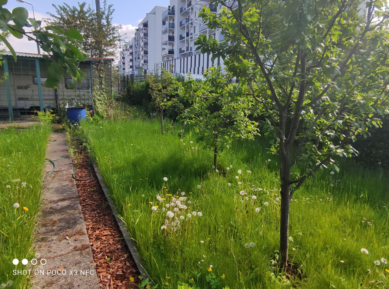 Działka rekreacyjna Toruń Mokre, ul. Stefana Batorego