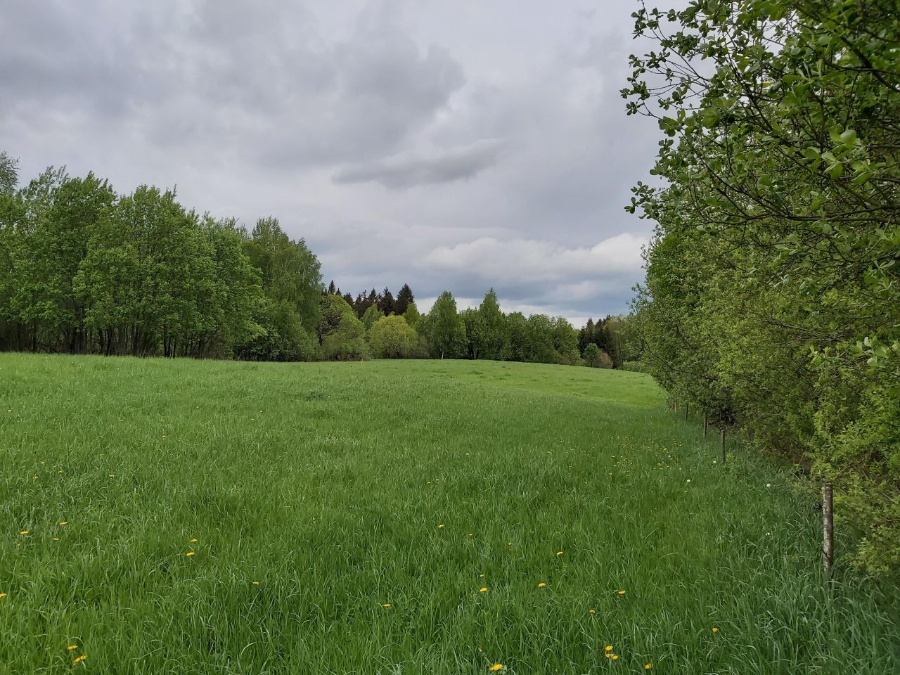 Działka budowlana Mierkinie. Zdjęcie 3