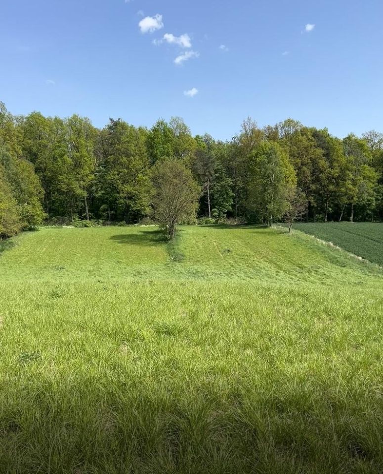 Działka budowlana Wierciszów. Zdjęcie 3