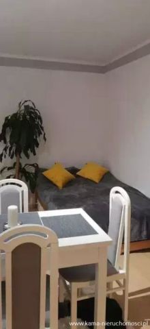 Mieszkanie 1-pokojowe Kamienna Góra. Zdjęcie 2