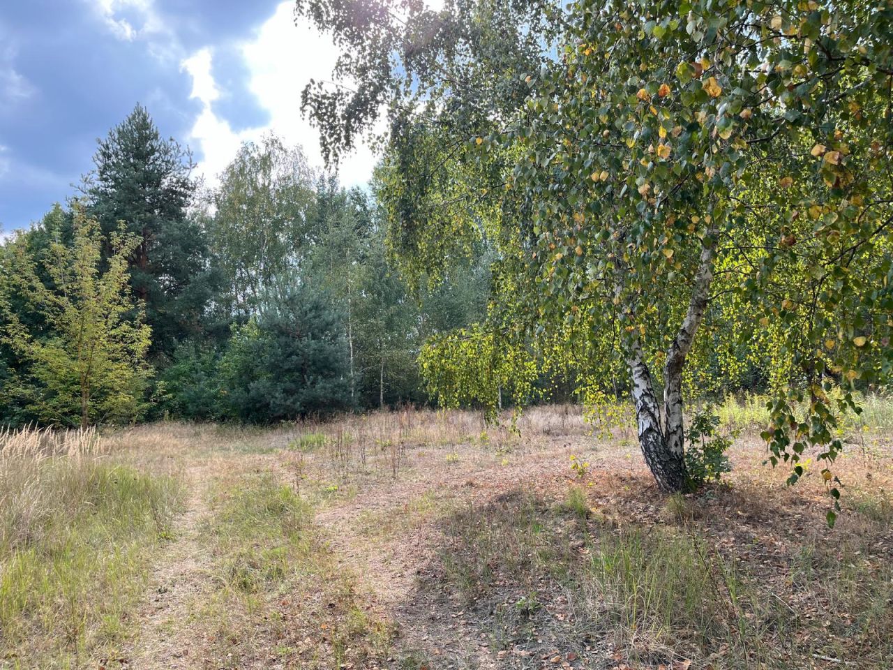 Działka budowlana Głosków, ul. Mewy. Zdjęcie 7