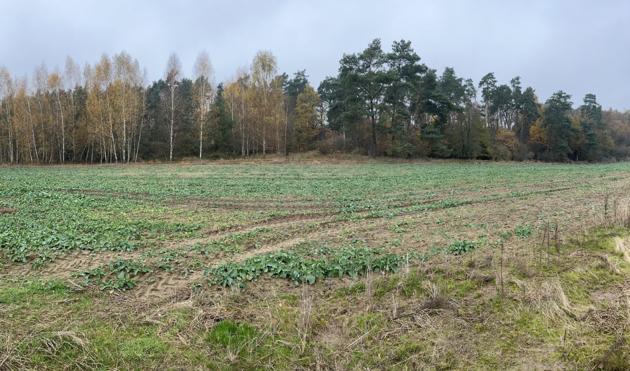 Działka rolna Szczutki