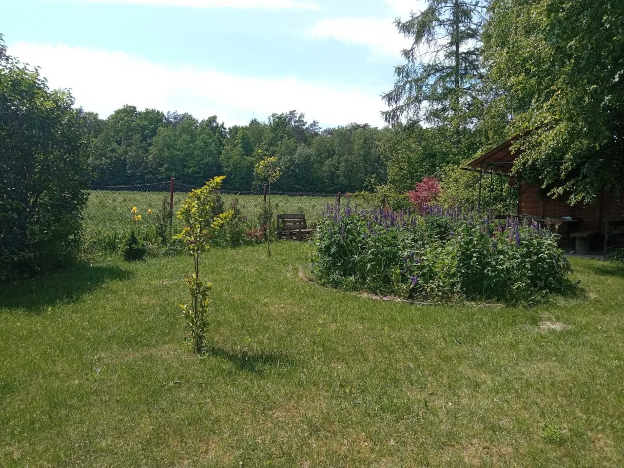 Działka siedliskowa Marianówka. Zdjęcie 7