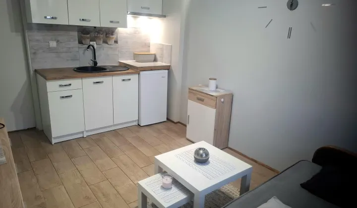 Mieszkanie 1-pokojowe Wiśniowo Ełckie