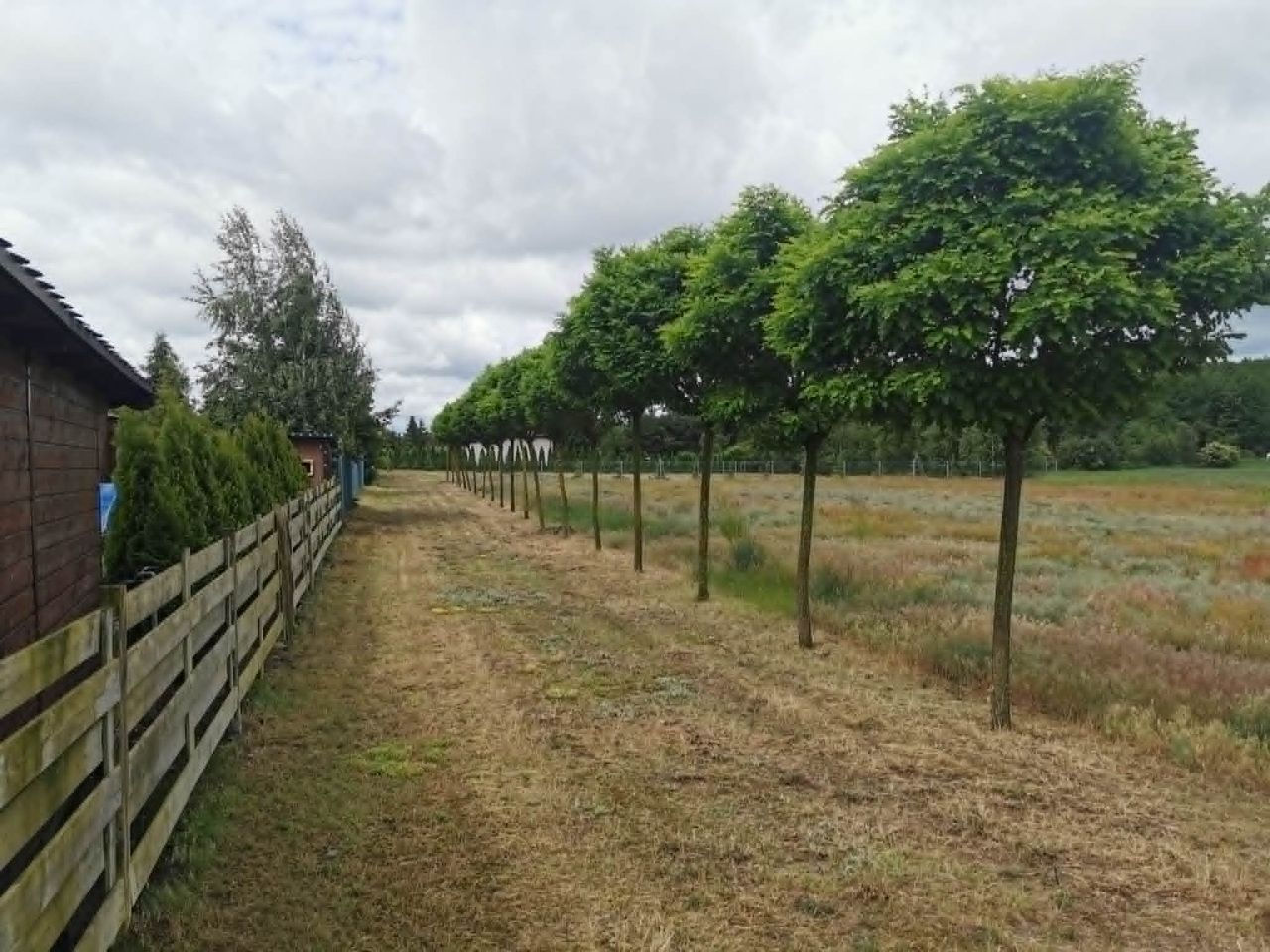 Działka budowlana Wielany, Kramsk-Łęgi. Zdjęcie 4