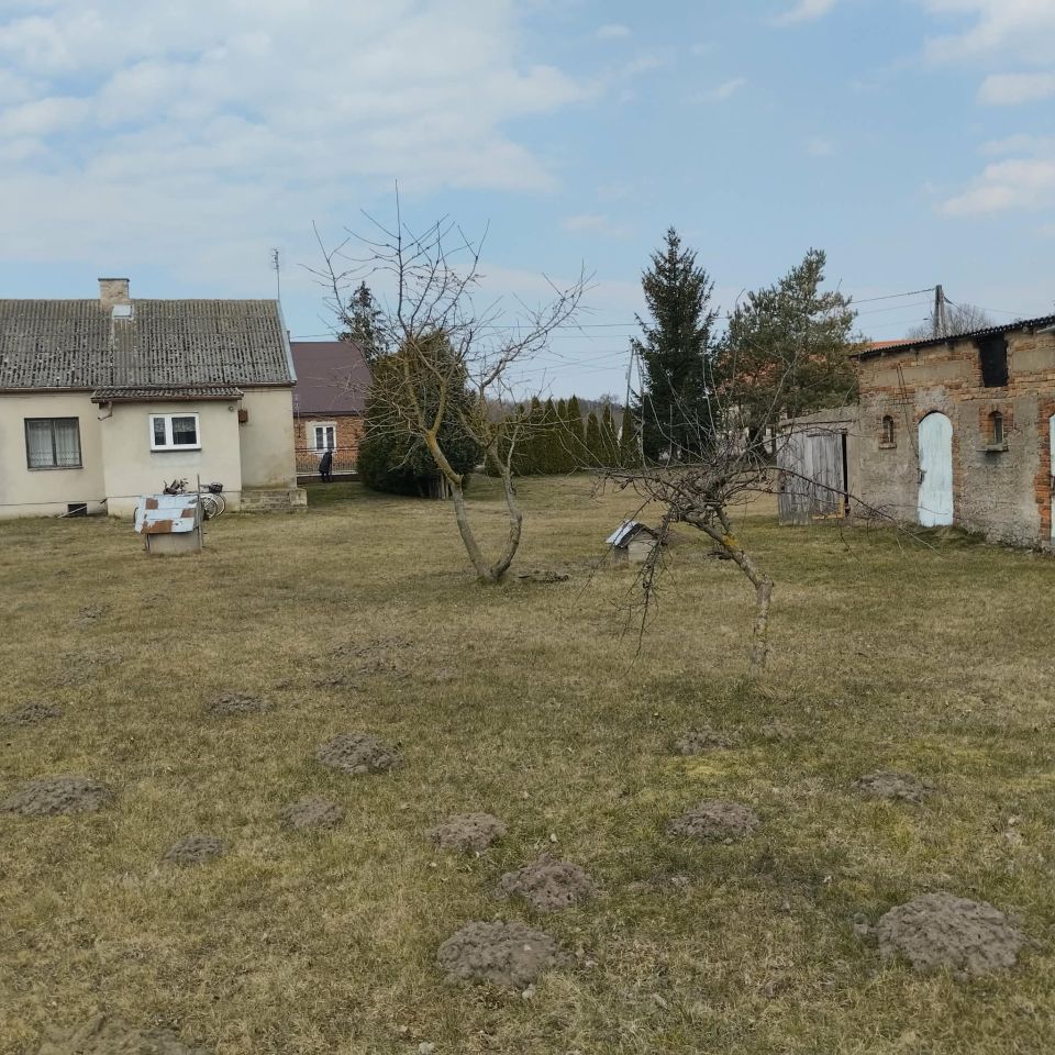 siedlisko, 3 pokoje Stara Sławogóra, Stara Sławogóra. Zdjęcie 5