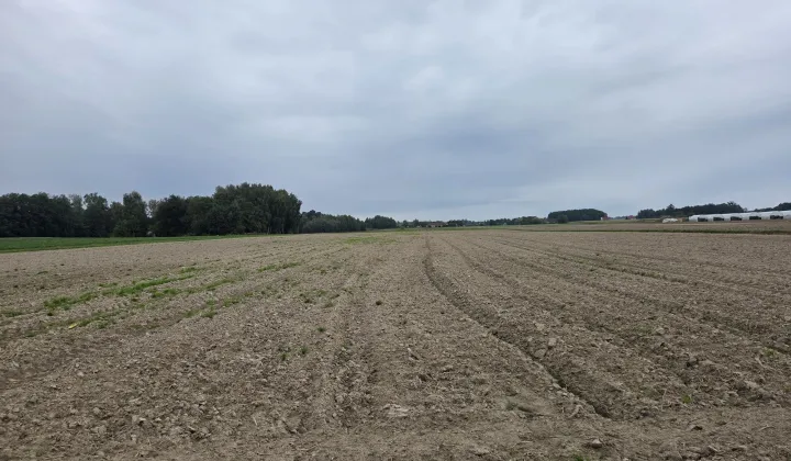 Działka rolna Wilkowuje