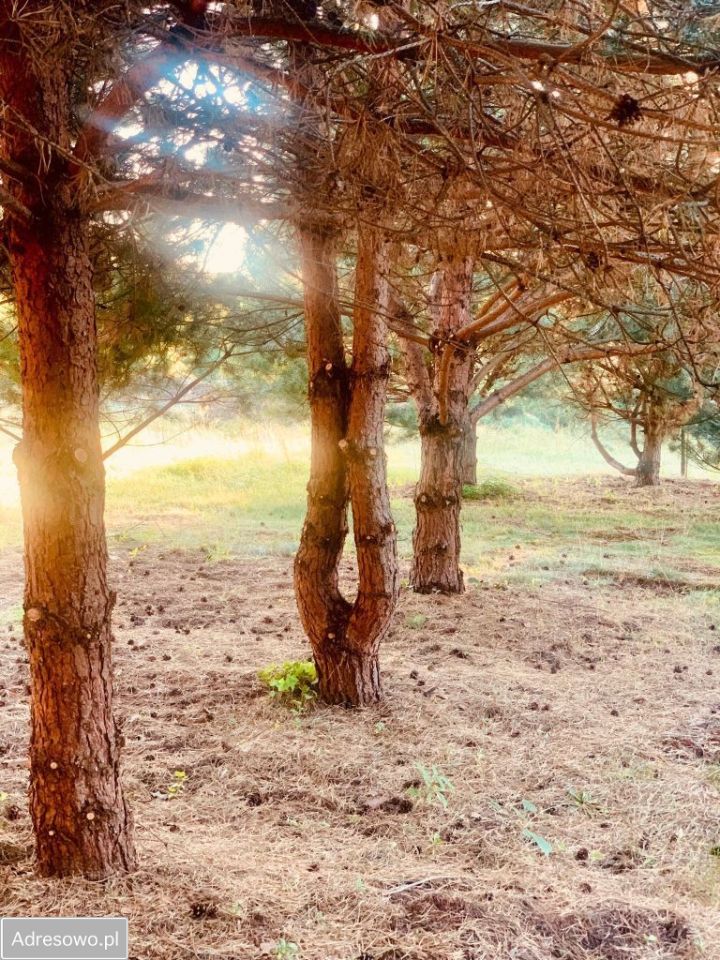 Działka budowlana Częstochowa Grabówka, ul. Gruszowa. Zdjęcie 16