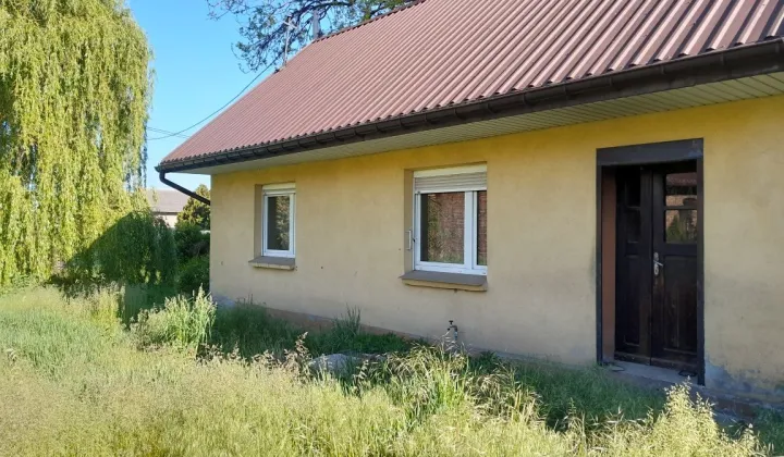 dom wolnostojący Chotynin