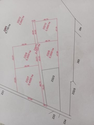Działka rolno-budowlana Sojczyn Borowy. Zdjęcie 1