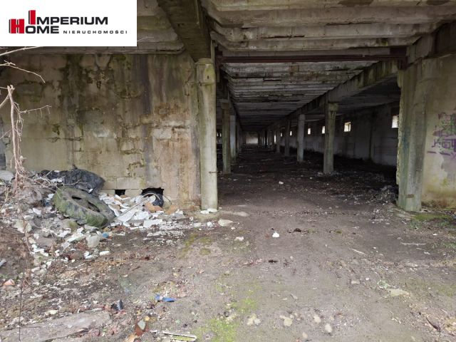 Działka inwestycyjna Chmielno, ul. Jesionowa. Zdjęcie 4