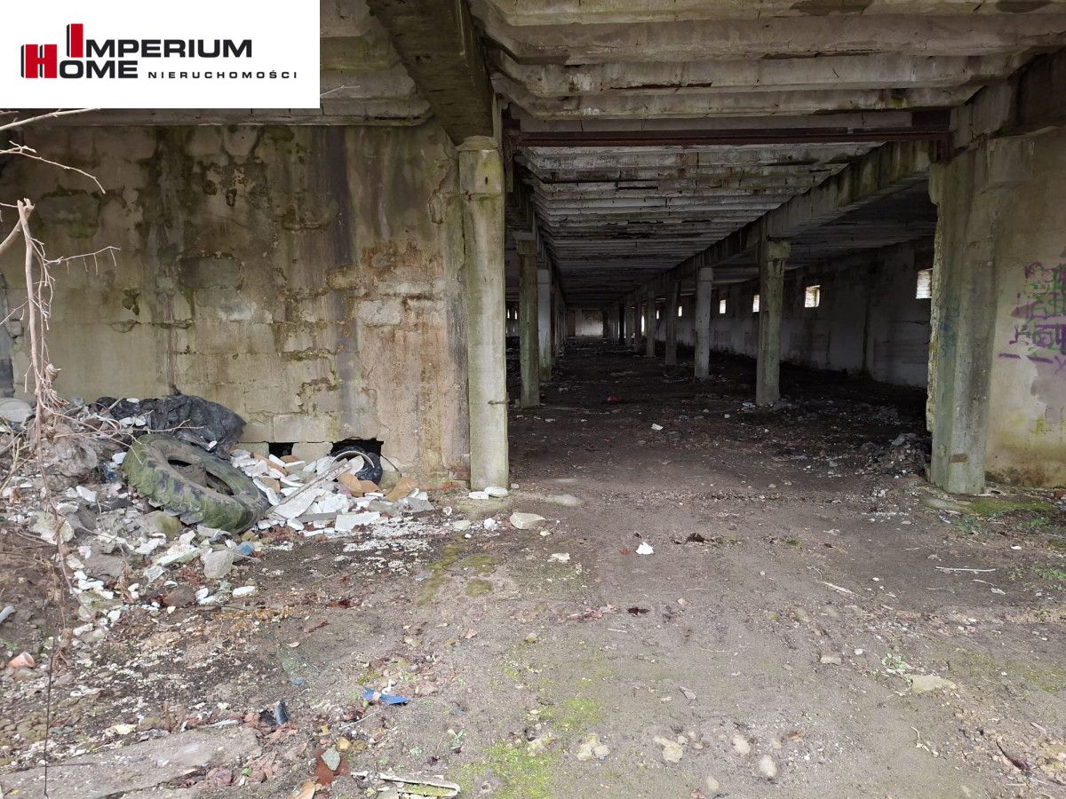 Działka inwestycyjna Chmielno, ul. Jesionowa. Zdjęcie 4