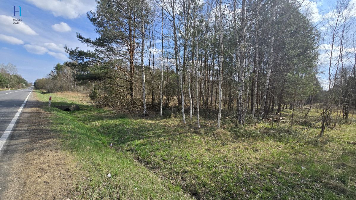 dom wolnostojący, 2 pokoje Ruda Maleniecka. Zdjęcie 11